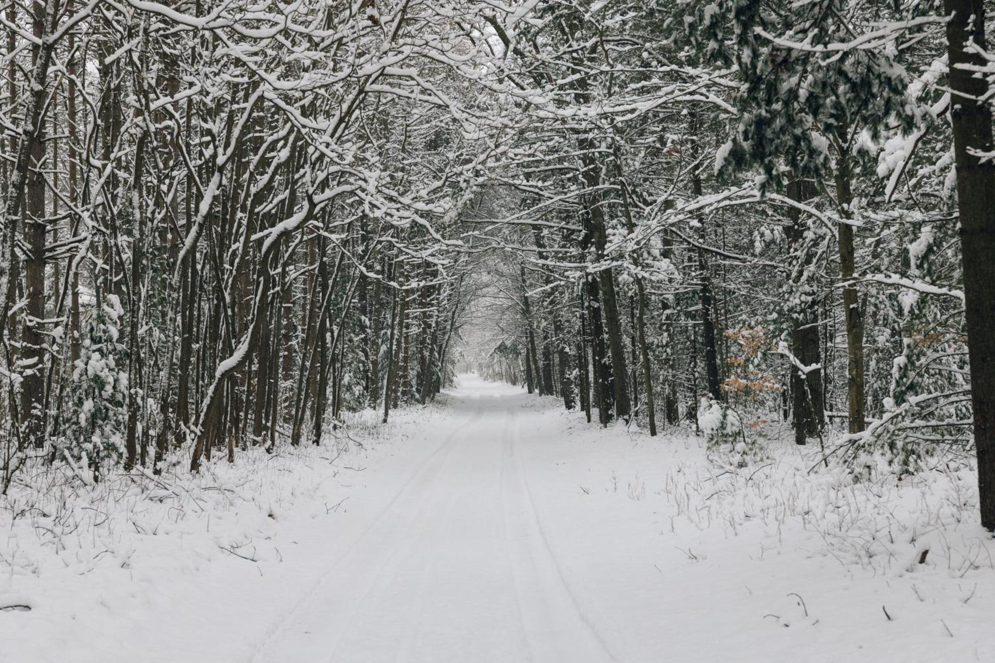 Scenic Drive Resort Маскигон Екстериор снимка