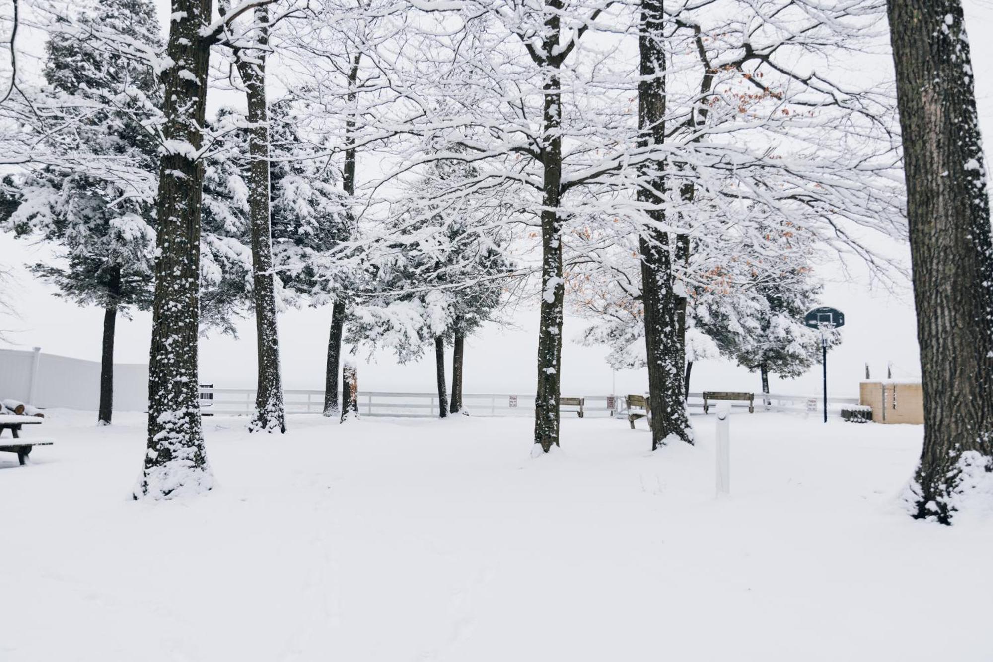 Scenic Drive Resort Маскигон Екстериор снимка